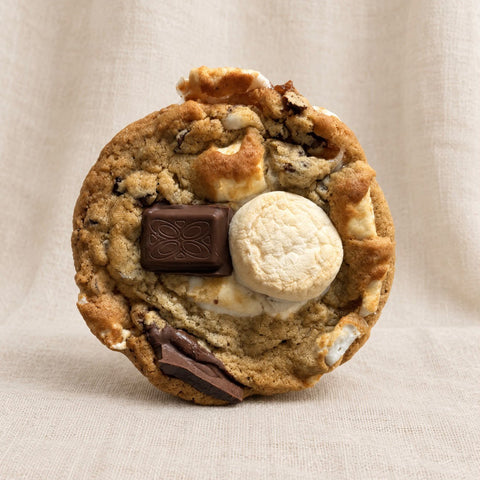 smores cookie on a plain textured background