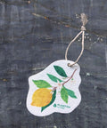 Plantish Pop Up Sponges – Compostable Cellulose Kitchen Sponge - The Local Space