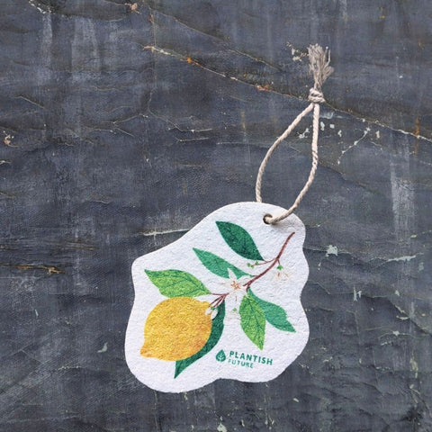 Plantish Pop Up Sponges – Compostable Cellulose Kitchen Sponge - The Local Space