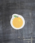 Plantish Pop Up Sponges – Compostable Cellulose Kitchen Sponge - The Local Space