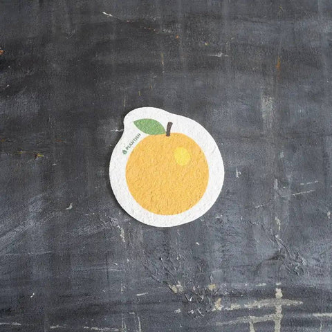 Plantish Pop Up Sponges – Compostable Cellulose Kitchen Sponge - The Local Space