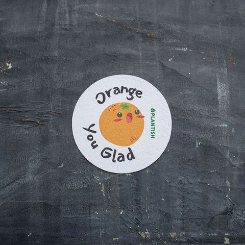 Plantish Pop Up Sponges – Compostable Cellulose Kitchen Sponge - The Local Space