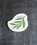 Plantish Pop Up Sponges – Compostable Cellulose Kitchen Sponge - The Local Space
