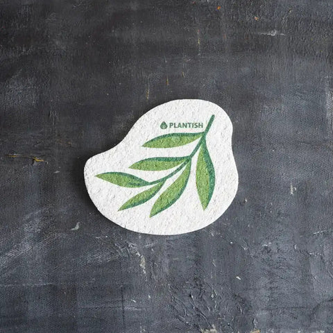 Plantish Pop Up Sponges – Compostable Cellulose Kitchen Sponge - The Local Space