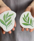 Plantish Pop Up Sponges – Compostable Cellulose Kitchen Sponge - The Local Space