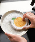Plantish Pop Up Sponges – Compostable Cellulose Kitchen Sponge - The Local Space