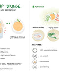 Plantish Pop Up Sponges – Compostable Cellulose Kitchen Sponge - The Local Space