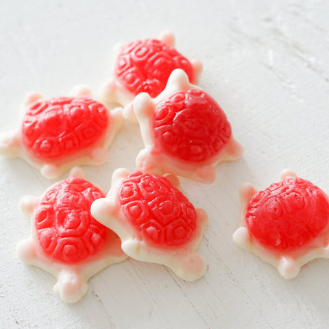 Sea Turtles | Gummies - The Local Space
