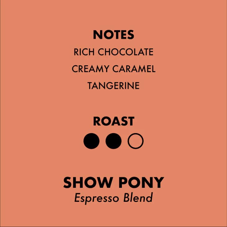 Show Pony | Espresso Blend Whole Beans - The Local Space