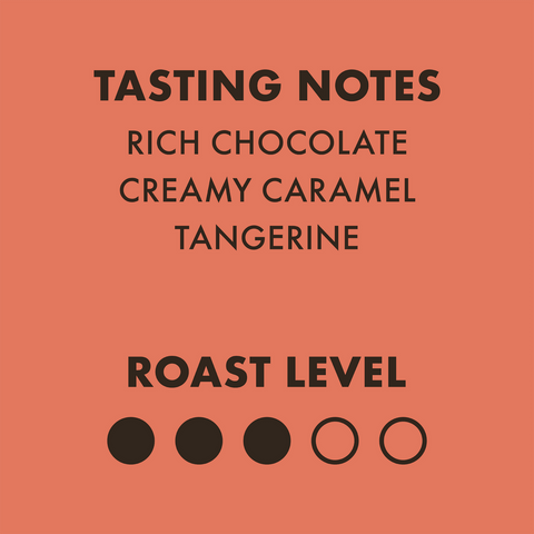 Smoking Gun Coffee Show Pony Espresso Blend Whole Beans - The Local Space