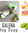 3 Pack Men's Natural Soap Bundle | Hop Soap - The Local Space