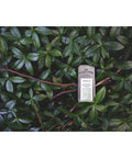Trevelin | Solid Cologne - The Local Space