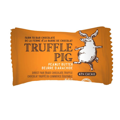 Truffle Pig Piglets