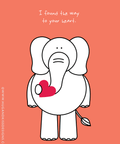 Underwear Conection | Greeting Card - The Local Space