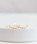 Willow Twist Hoop Earrings - The Local Space